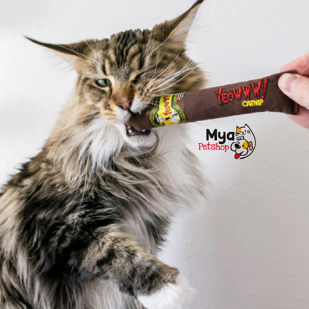 Puro marrón YEOWWW catnip - RELLENO 100% DE CATNIP