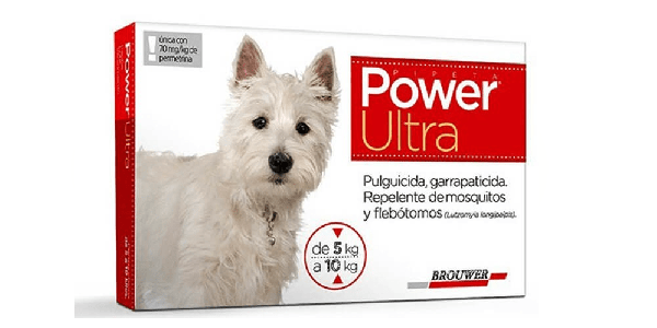 Power Ultra